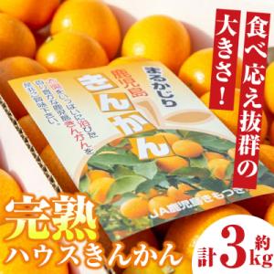 ふるさと納税 肝付町 肝付町産 完熟ハウスきんかん《先行受付》　A18004