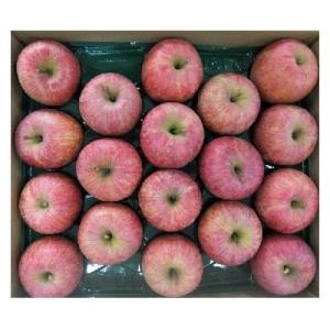 ふるさと納税 上山市 りんご(サンふじ)5kg　11〜20玉　ご家庭用　0056-2620