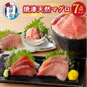 ふるさと納税 焼津市 焼津 天然 南 鮪 まぐろ マグロ