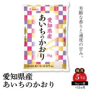 ふるさと納税 碧南市 愛知県産あいちのかおり 5kg ※12回定期便　H074-538