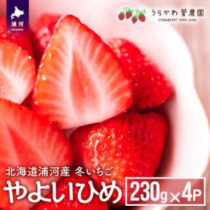 ふるさと納税 浦河町 【今が旬!】北海道浦河産いちご「やよいひめ」230g×4P[13-883]