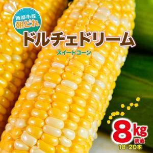 【先行受付】西都市産朝どれドルチェドリーム8kg前後スイートコーン[2836]