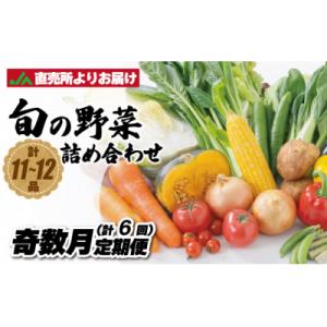 ふるさと納税 宗像市 【定期便/年6回/奇数月お届け】むなかた旬の野菜お任せセット【ほたるの里】_HB0026