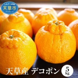 ふるさと納税 天草市 天草産　デコポン　5kg〈先行受付〉_S107-004A