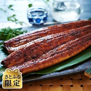 大崎町 ふるさと納税 【さとふる限定】鹿児島県産うなぎ長蒲焼6尾(合計640g以上)｜y-sf