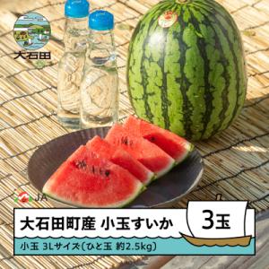 【先行予約】小玉すいか 2026年産 3L×3玉 ひとりじめ または ピノガール ja-sukoa3