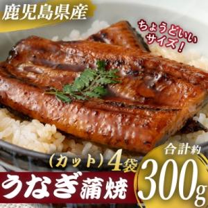 ふるさと納税 薩摩川内市 鹿児島県産うなぎ蒲焼カット　約300g(約75g×4袋) A-250