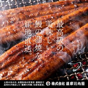 ふるさと納税 薩摩川内市 国産うなぎ蒲焼(きざ...の詳細画像2