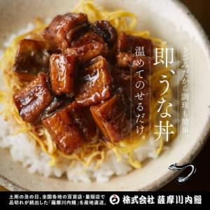 ふるさと納税 薩摩川内市 国産うなぎ蒲焼(きざ...の詳細画像3