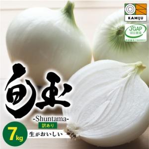 ふるさと納税 碧南市 訳あり 新玉ねぎ　生がおいしい 神重農産のブランド玉ねぎ「旬玉」7kg　H105-109