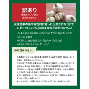 ふるさと納税 碧南市 (予約受付)≪某TVで紹...の詳細画像1