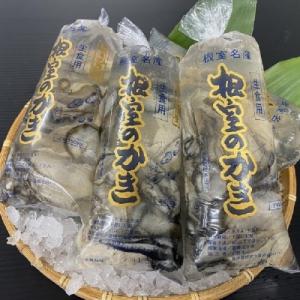 ふるさと納税 根室市 牡蠣むき身150g×5P[11月下旬以降]