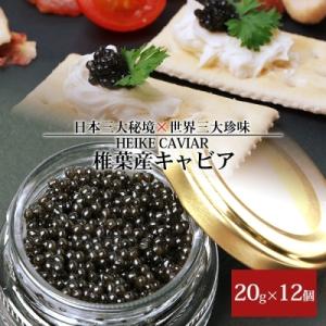 ふるさと納税 椎葉村 HEIKE CAVIAR  キャビア 20g×12個【合計240g】｜y-sf