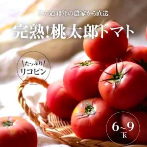 ふるさと納税 碧南市 この道40年の農家から直送 完熟!桃太郎トマト 6〜9玉　H139-018