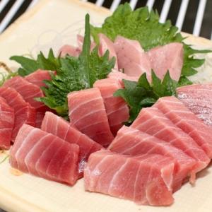 ふるさと納税 焼津市 マグロ 天然 南鮪 中トロ 柵 刺身