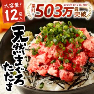 ふるさと納税 焼津市 【2025年6月お届け】天然 まぐろ ネギトロ 80g×12パック(a10-5...