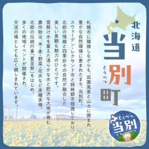 ふるさと納税 当別町 高級オーダー家具 100...の詳細画像2