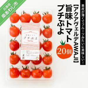 旨味トマト　プチぷよ　20個