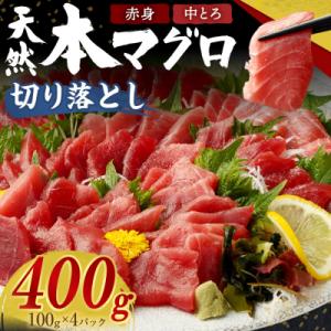 ふるさと納税 室戸市 天然本マグロ(赤身・中とろ)切落し400g　訳アリ　魚介類加工品