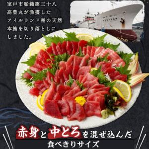 ふるさと納税 室戸市 天然本マグロ(赤身・中と...の詳細画像1