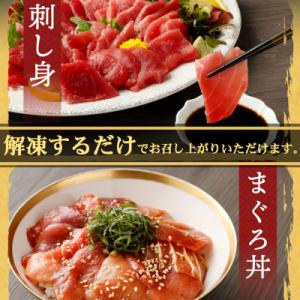 ふるさと納税 室戸市 天然本マグロ(赤身・中と...の詳細画像2