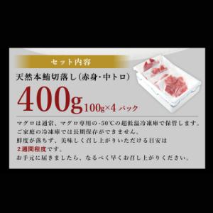 ふるさと納税 室戸市 天然本マグロ(赤身・中と...の詳細画像3