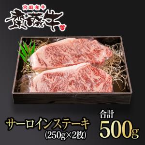 ふるさと納税 西都市 宮崎和牛 齋藤牛 サーロインステーキ250g×2枚 500g[2260]