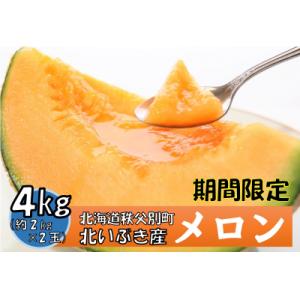 令和8年産 赤肉メロン2玉【E-03】