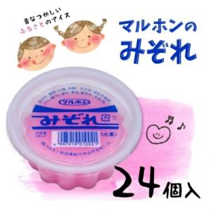 ふるさと納税 能代市 能代名物 マルホンの「みぞれ」24個 カップアイス[No.5335-0111]