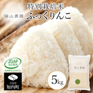 ふるさと納税 知内町 特別栽培米産地直送「ふっくりんこ 5kg」《帰山農園》