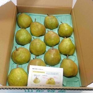 西洋梨(ラ・フランス)5kg　ご家庭用　0009-2612