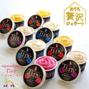 ふるさと納税 徳之島町 〜完熟マンゴー&パッション&ドラゴンetc〜徳之島プレミアムジェラート&ソルベ