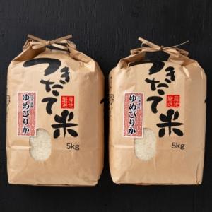 ふるさと納税 紋別市 令和2年産 北海道産ゆめぴりか10kg(5kg×2袋) 【つきたてそのまま・低温精米】(クラフト袋)