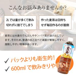 ふるさと納税 室戸市 【年6回定期便】おいしい麦茶600ml お茶の定期便 ペットボトル飲料 ドリンク ミネラル入り