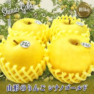 ふるさと納税 長井市 【2026年発送】山形のりんご(シナノゴールド)約5kg_H120(R8)