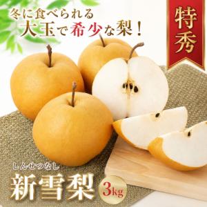 冬に食べられる梨　新雪梨(特秀) 3kg