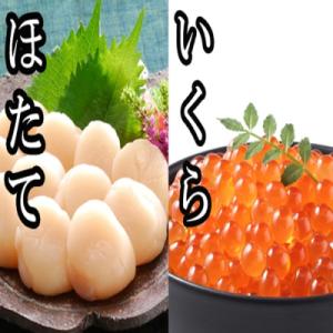 ふるさと納税 根室市 いくら醤油漬け・ほたて貝柱セット