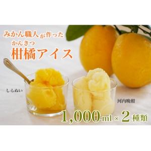 ふるさと納税 愛南町 みかん職人が作った柑橘アイス1000ml×2種(河内晩柑・しらぬい)
