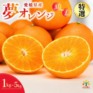 【紅まどんな と同品種】【特選品】みかん職人の夢オレンジ 3kg 夢おれんじ 愛媛 みかん職人武田屋