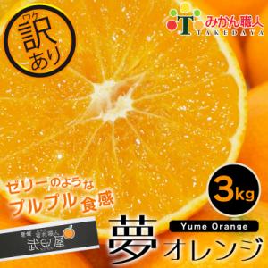 ふるさと納税 愛南町 【訳あり】みかん職人の夢オレンジ3kg 夢おれんじ みかん職人武田屋｜さとふる