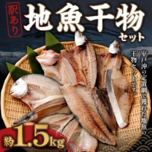 ふるさと納税 室戸市 【訳あり】地魚干物セット(約1.5kg) //干物詰め合わせセット