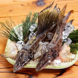 【ぜひお試しください!】極レア!オホーツク産 八角(はっかく) 丸干し 1kg 焼くだけ簡単
