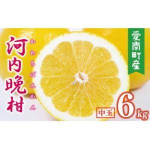 数量限定 先行受付 河内晩柑 樹齢 25年以上 中玉 6kg みかんの山祥 愛南町 愛媛県
