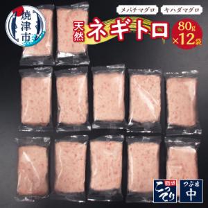 ふるさと納税 焼津市 天然ネギトロ(80g×12袋)(a10-635)