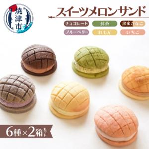 ふるさと納税 焼津市 スイーツ メロン パン 皮 サンド6種類×2箱 セット (a15-453)