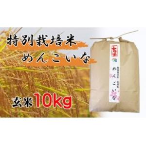 ふるさと納税 仙北市 【特別栽培米 炭壌米 めんこいな】令和2年産 玄米 10kg [No.5660-0690]