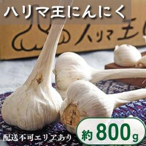 ふるさと納税 加西市 ハリマ王 にんにく 約800g (2024年度産)[No5698-0061]