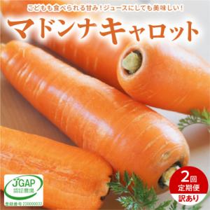 訳あり 2回定期便 にんじん 1月2月お届け マドンナキャロット 5㎏ H105-207