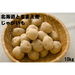 ふるさと納税 苫前町 北海道とままえ産じゃがいも(男爵)　10kg