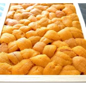 ムラサキウニバラ詰め150g×1折 A-71036
